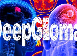 DeepGlioma: artificial-intelligence-based diagnostic screening system to streamline the molecular diagnosis of diffuse gliomas