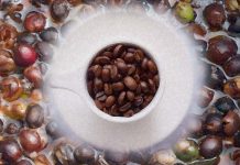 Why is Fermented Coffee a unique experience?