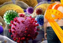 Impact of obesity on respiratory tract immunity in COVID-19 across the human lifespan
