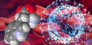 Low plasma tryptophan and increased kynurenine contribute to Long COVID
