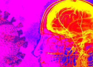 Maternal SARS-CoV-2 positivity is associate with neurodevelopmental diagnoses at 12 months among male offspring