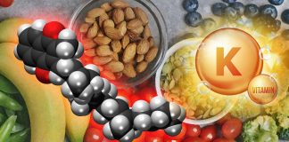 Potenziale della vitamina K nella soppressione della ferroptosi indotta da SARS-CoV-2