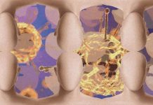 COVID-19 can cause difficulty recognizing faces and navigational problems