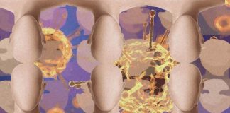 COVID-19 can cause difficulty recognizing faces and navigational problems
