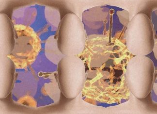 COVID-19 can cause difficulty recognizing faces and navigational problems