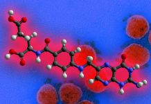 The Role of Folic Acid in SARS-CoV-2 Infection