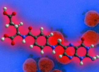The Role of Folic Acid in SARS-CoV-2 Infection