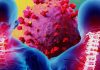 SARS-CoV-2 can be a causal factor of Phrenic Neuropathy and Diaphragmatic Dysfunction