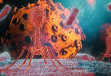 SARS-CoV-2 infection activates endogenous retroviruses of the LTR69 subfamily