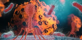 SARS-CoV-2 infection activates endogenous retroviruses of the LTR69 subfamily