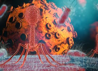 SARS-CoV-2 infection activates endogenous retroviruses of the LTR69 subfamily