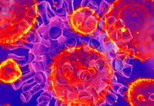 SARS-CoV-2 infection is affecting the human immunometabolism
