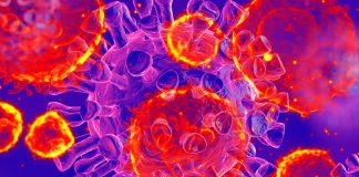 SARS-CoV-2 infection is affecting the human immunometabolism