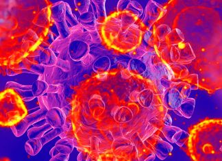 SARS-CoV-2 infection is affecting the human immunometabolism