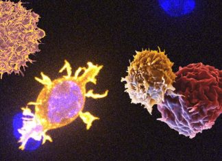T-cell therapy for all tumors