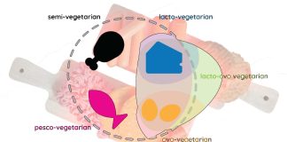 The Hidden Dangers of Plant-Based Meat Substitutes