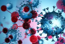 Fumarate hydratase (FH) is an enzyme that plays an important role in the pathogenesis of COVID-19