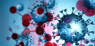 Fumarate hydratase (FH) is an enzyme that plays an important role in the pathogenesis of COVID-19