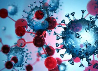 Fumarate hydratase (FH) is an enzyme that plays an important role in the pathogenesis of COVID-19