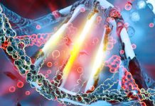 The alterations in DNA methylation (DNAm) status persist in individuals who recovered from a COVID-19 infection