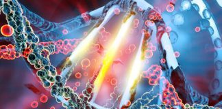 The alterations in DNA methylation (DNAm) status persist in individuals who recovered from a COVID-19 infection