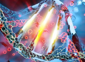 The alterations in DNA methylation (DNAm) status persist in individuals who recovered from a COVID-19 infection