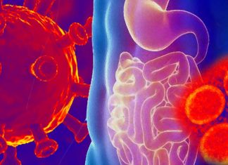 The gastrointestinal disease is another facet of the multifaceted Long Covid
