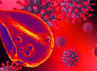 COVID-19: Hemoglobin/iron dysmetabolism is likely to be the leading process causing multiorgan disease and hypoxia