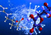 Gli adulti con Long COVID possono migliorare la salute e la forza con l’integrazione di L-arginina e vitamina C