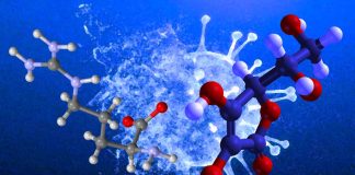 Gli adulti con Long COVID possono migliorare la salute e la forza con l’integrazione di L-arginina e vitamina C