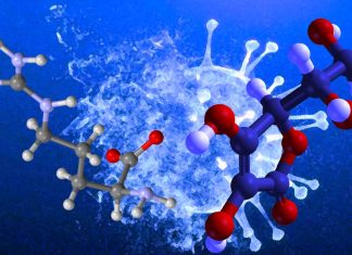 Gli adulti con Long COVID possono migliorare la salute e la forza con l’integrazione di L-arginina e vitamina C