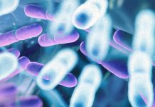 I vantaggi di due ceppi probiotici: L. fermentum UCO-979C e L. rhamnosus UCO-25A durante l’infezione da SARS-CoV-2
