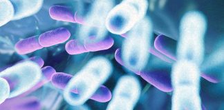 I vantaggi di due ceppi probiotici: L. fermentum UCO-979C e L. rhamnosus UCO-25A durante l’infezione da SARS-CoV-2
