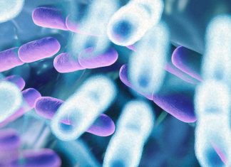 I vantaggi di due ceppi probiotici: L. fermentum UCO-979C e L. rhamnosus UCO-25A durante l’infezione da SARS-CoV-2