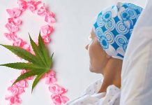 Cancer patients who use cannabis to address their symptoms have less pain – sleep better