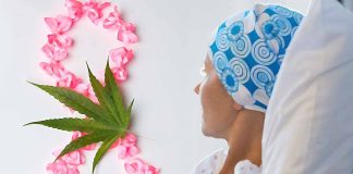 Cancer patients who use cannabis to address their symptoms have less pain – sleep better