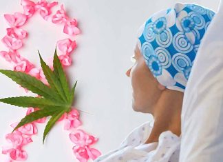Cancer patients who use cannabis to address their symptoms have less pain – sleep better