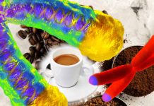 Coffee Consumption and Telomere Length