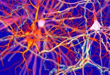 Long-Term COVID-19: Viral Infection and Dysregulation of Dopamine (DA) Neurotransmission