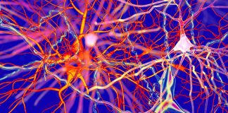 Long-Term COVID-19: Viral Infection and Dysregulation of Dopamine (DA) Neurotransmission