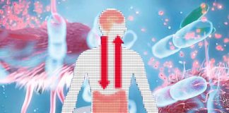The Relationship between Emotional Suppression and Diversity of Gut Microbiome and the Impact of Happiness on Certain Bacteria Levels