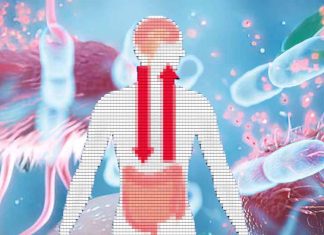 The Relationship between Emotional Suppression and Diversity of Gut Microbiome and the Impact of Happiness on Certain Bacteria Levels