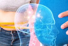 Excess BMI impact cognitive performance, brain structures and circuitry