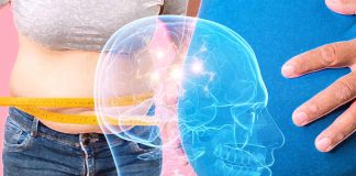 Excess BMI impact cognitive performance, brain structures and circuitry