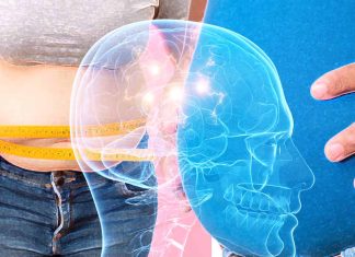 Excess BMI impact cognitive performance, brain structures and circuitry