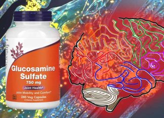 Glucosamine: A Potential Broad-Spectrum Antiviral Against Human Coronaviruses