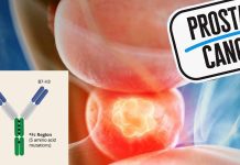 Prostate cancer: Enoblituzumab a monoclonal antibody that targets the immune checkpoint protein