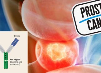 Prostate cancer: Enoblituzumab a monoclonal antibody that targets the immune checkpoint protein