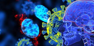 Long-Term Neurological Complications in post-COVID-19 linked to SARS-CoV-2 Spike Protein Accumulation in the Skull-Meninges-Brain Axis