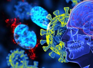 Long-Term Neurological Complications in post-COVID-19 linked to SARS-CoV-2 Spike Protein Accumulation in the Skull-Meninges-Brain Axis